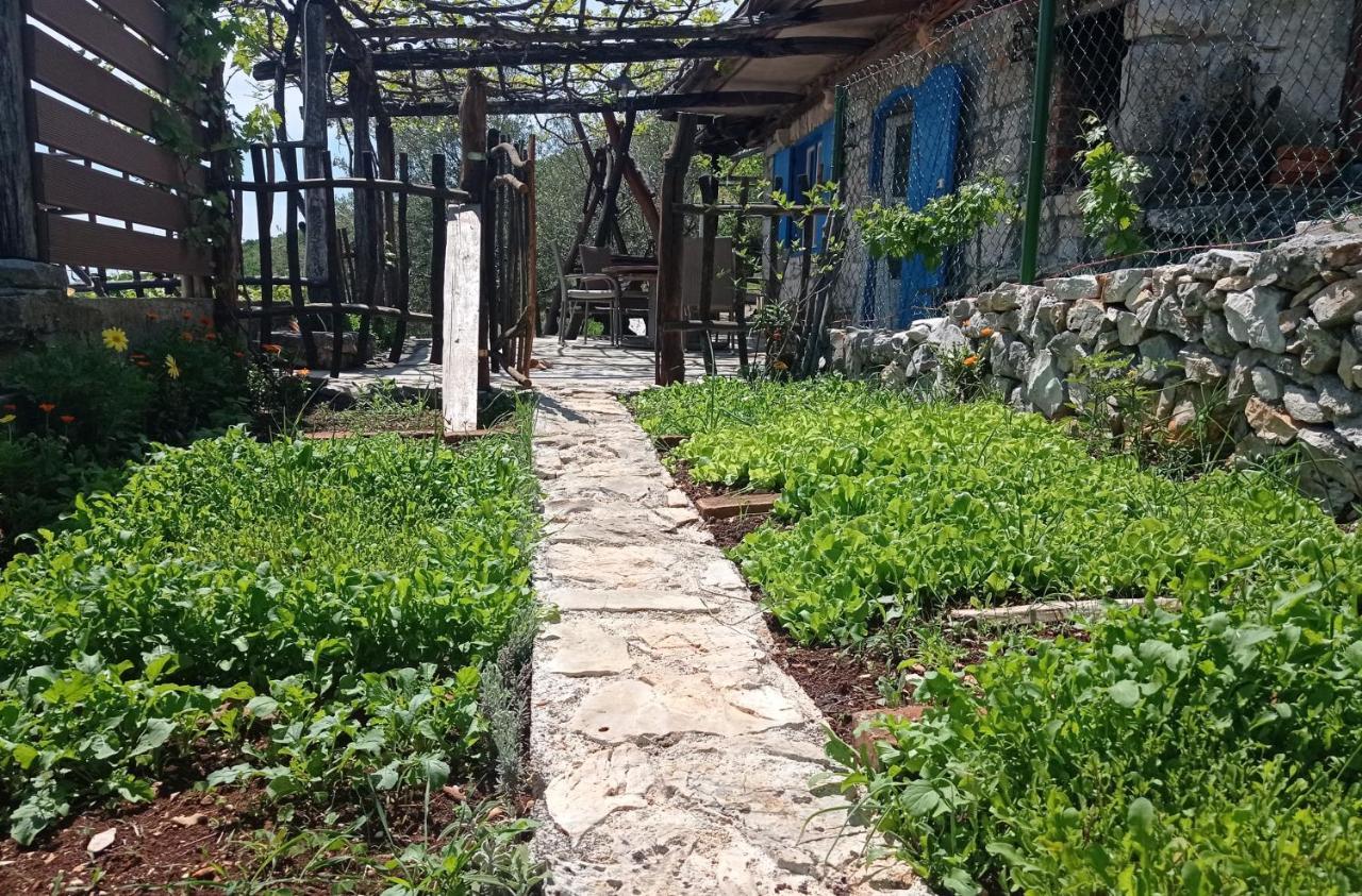 Casa Delle Olive Villa Mošćenička Draga Kültér fotó