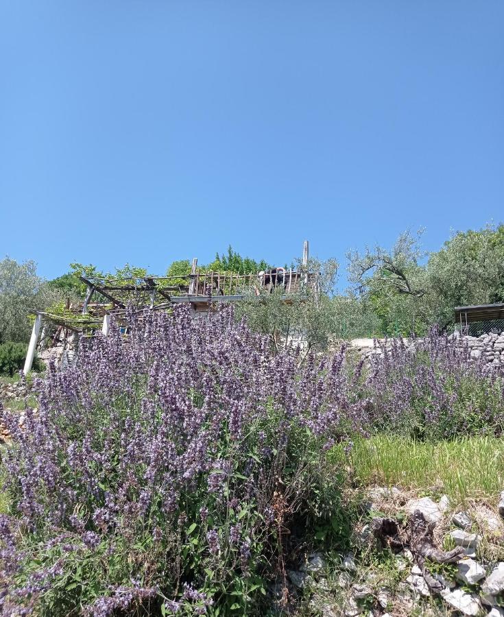 Casa Delle Olive Villa Mošćenička Draga Kültér fotó