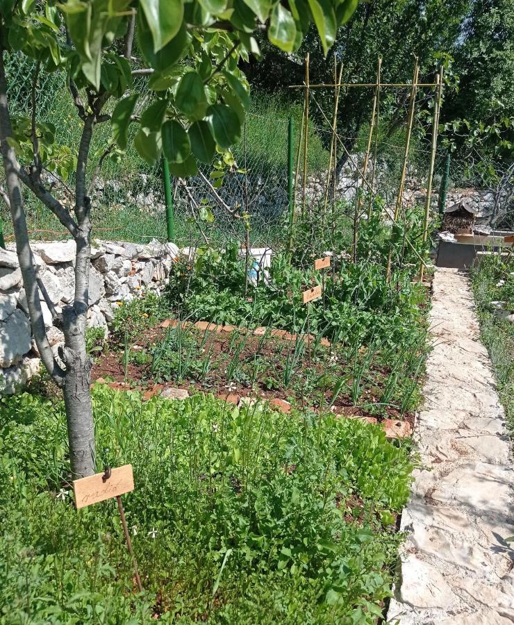 Casa Delle Olive Villa Mošćenička Draga Kültér fotó