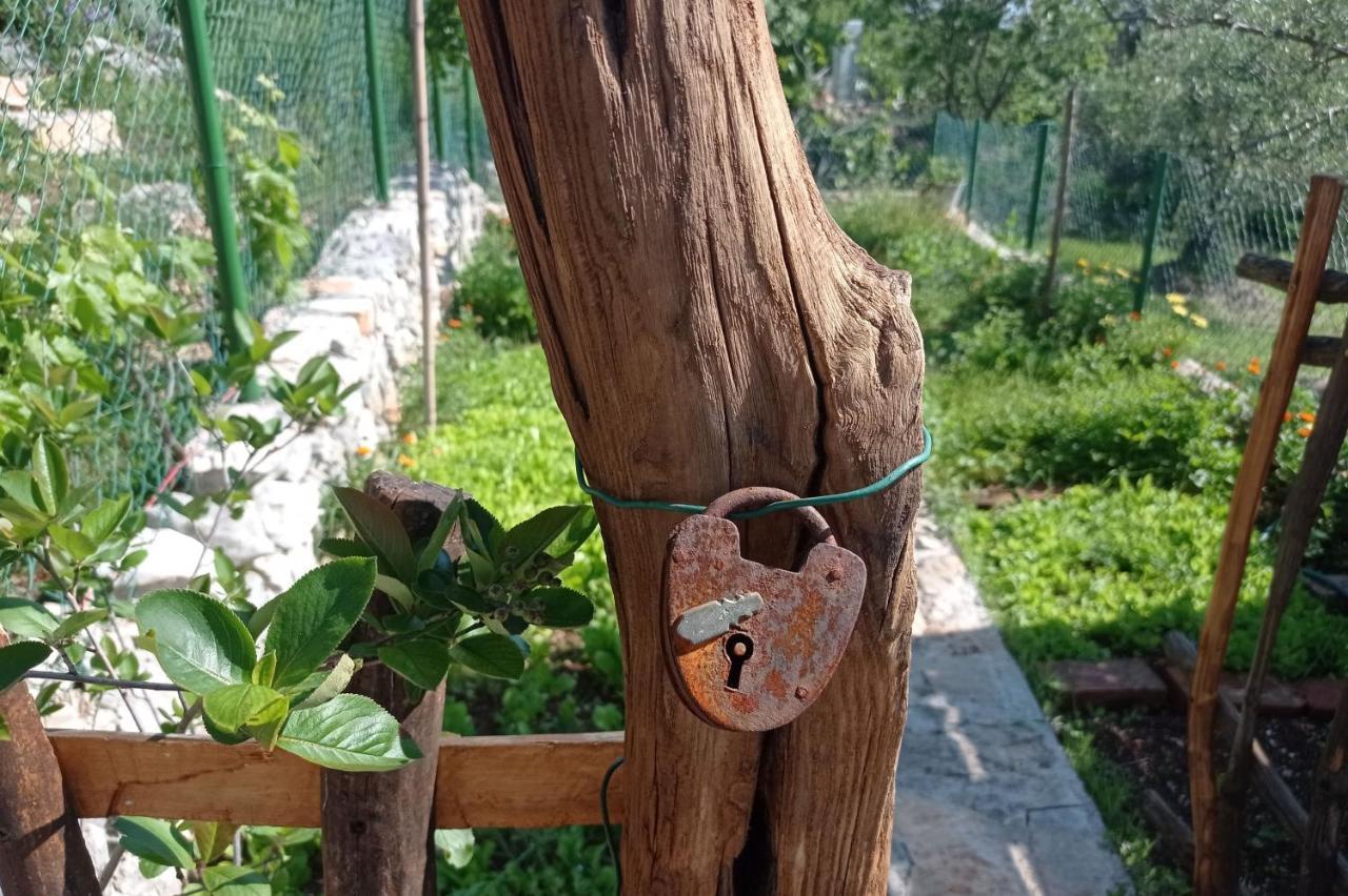 Casa Delle Olive Villa Mošćenička Draga Kültér fotó